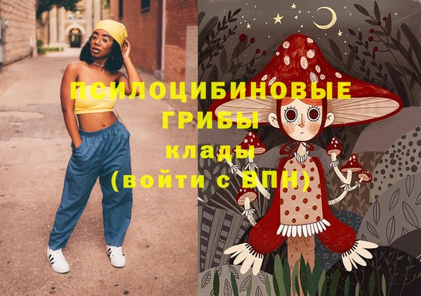 дмт Грязи