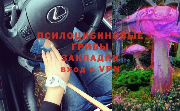 дмт Грязи