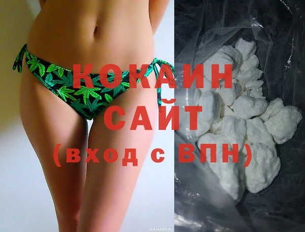 мяу мяу мука Гатчина