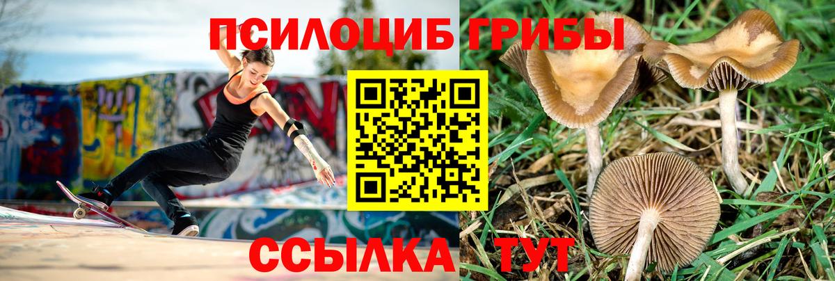 Псилоцибиновые грибы GOLDEN TEACHER  Вход с VPN  Красноярск 